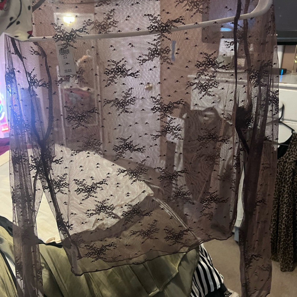 Sheer Brown Aerie Lace Top